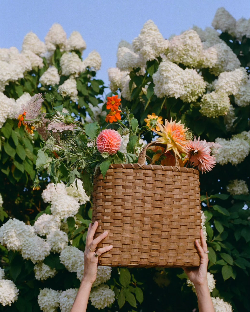 Shopping Basket