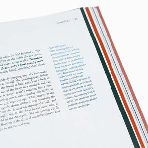 Alice in Wonderland Art Novel