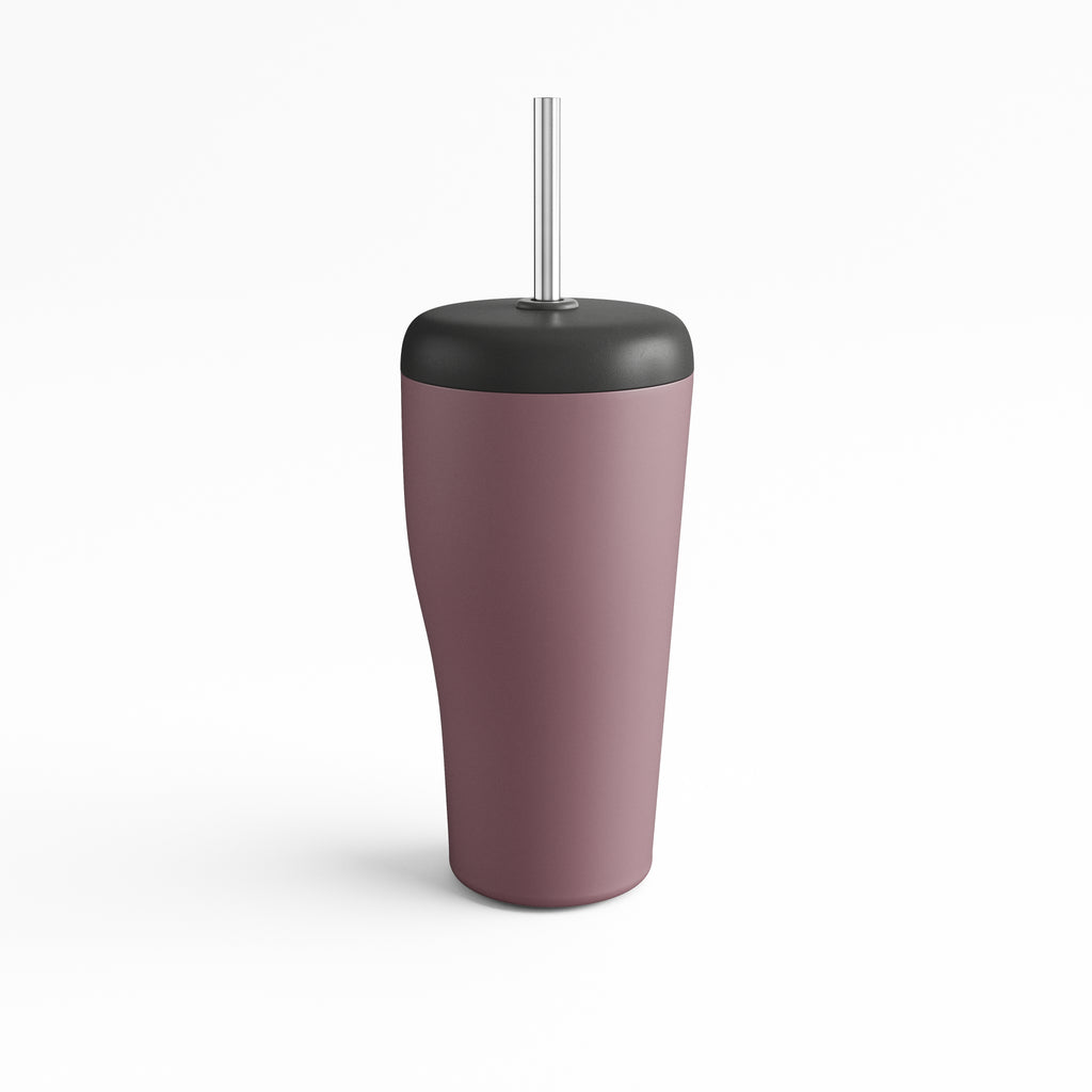 Sky Travel Cup with Straw Rose Stainless Steel and Plastic