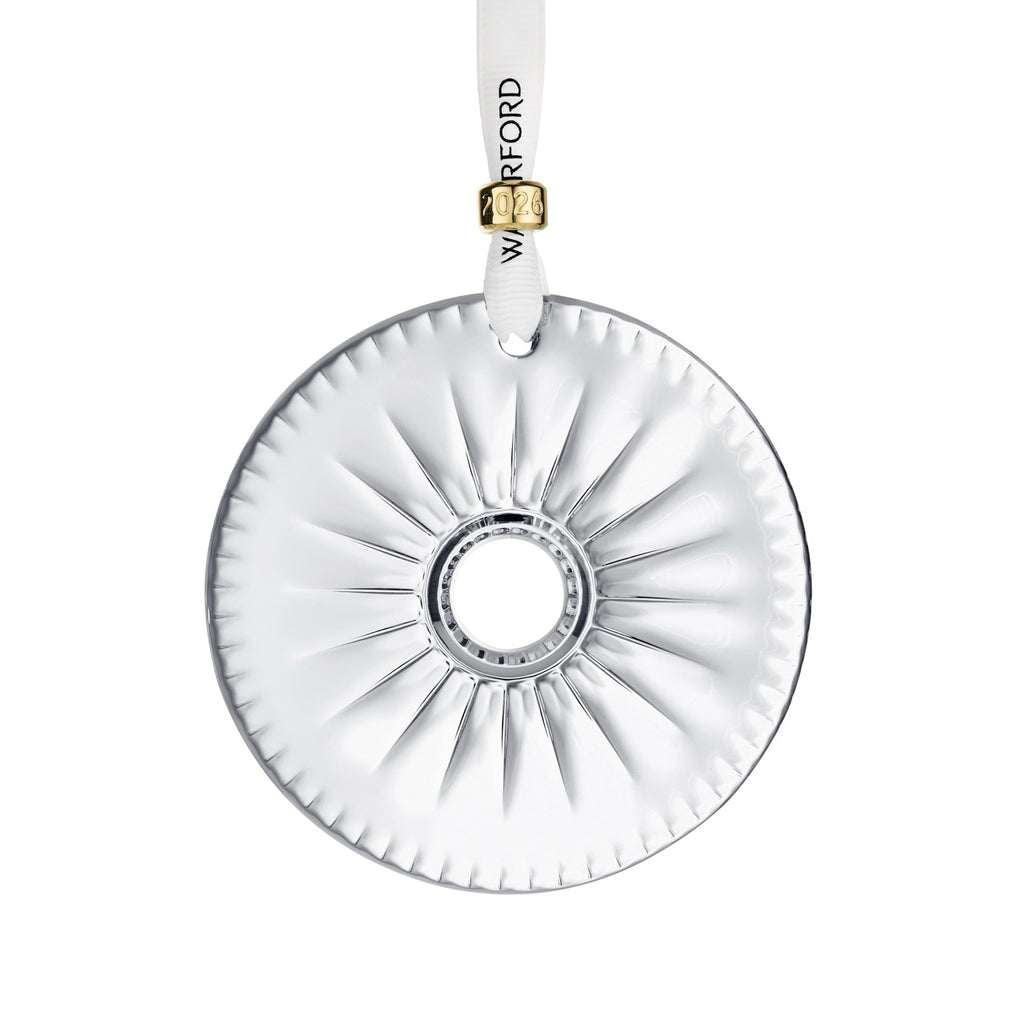 New Year Disc Firework
