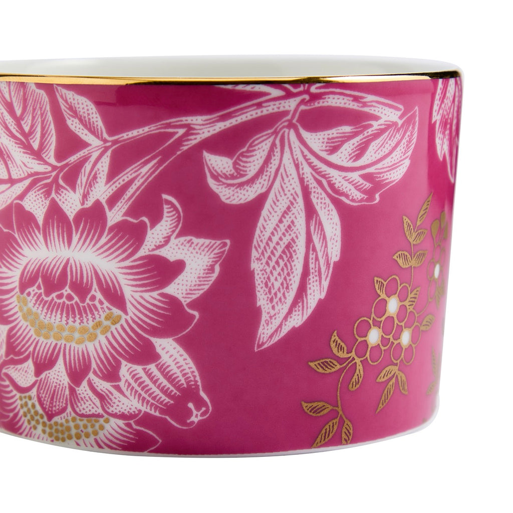 Wonderlust Tonquin Teacup & Saucer in Pink