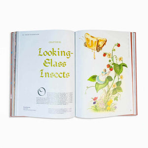 Alice in Wonderland Art Novel