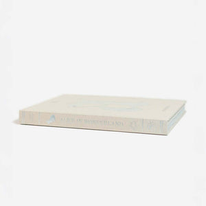 Alice in Wonderland Art Novel