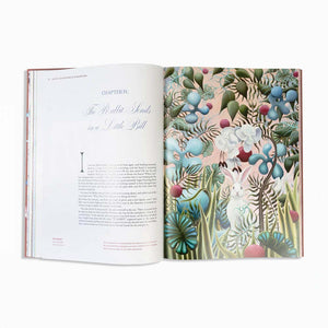 Alice in Wonderland Art Novel