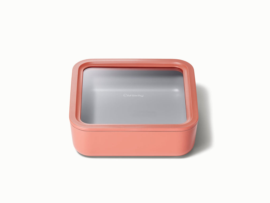 Large Storage Container