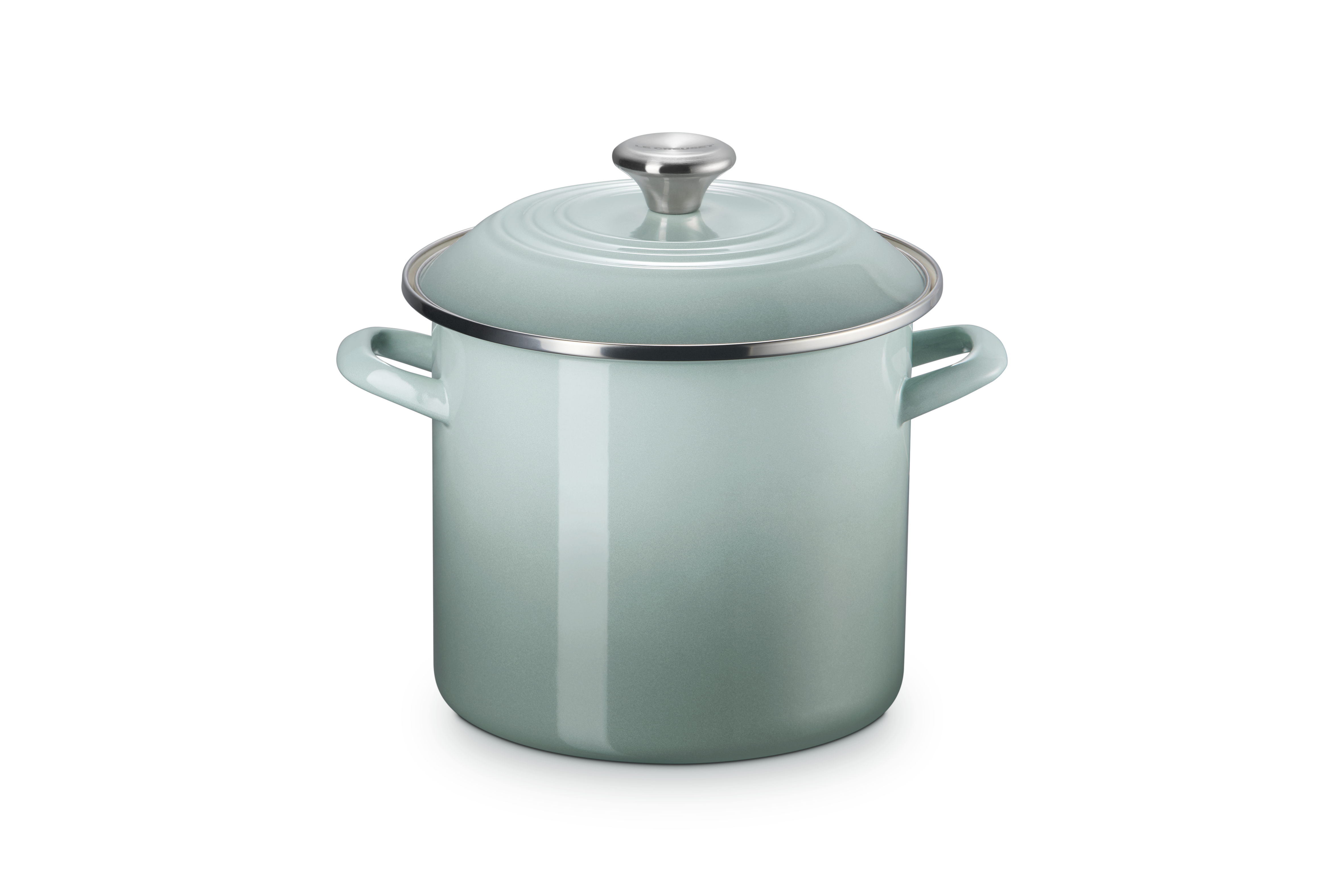 10 qt.Stockpot in Sea Salt