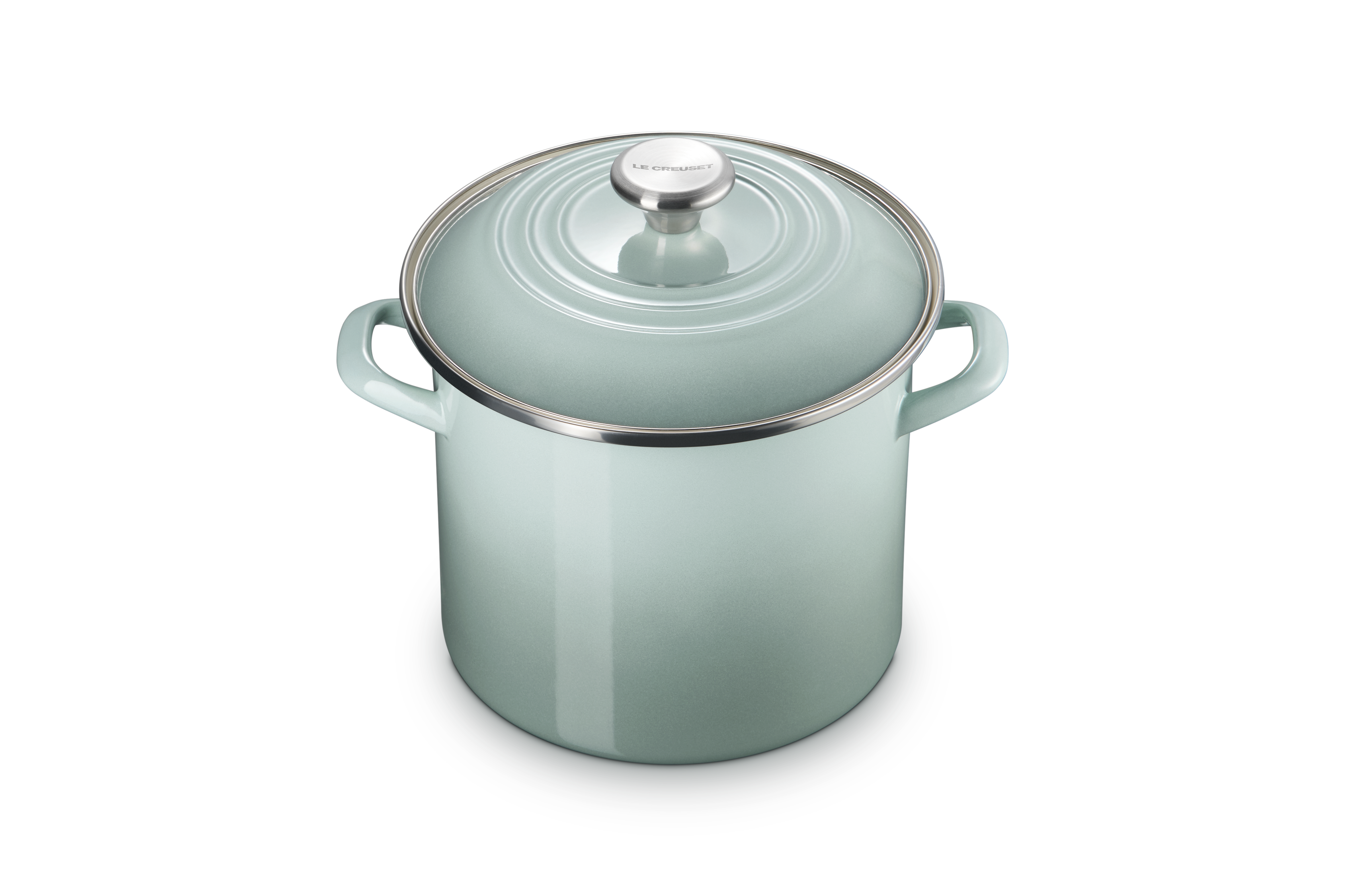 10 qt.Stockpot in Sea Salt