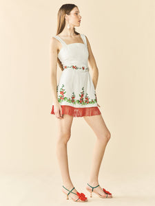 Sarah Bird Mini Dress x Larsen McDowell
