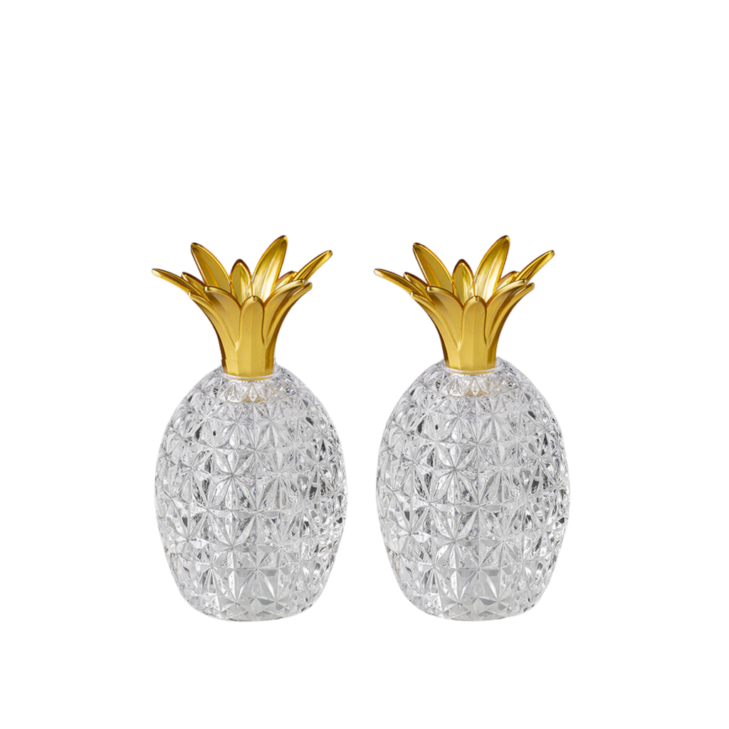 Caterina & Vittoria Acrylic Salt and Pepper