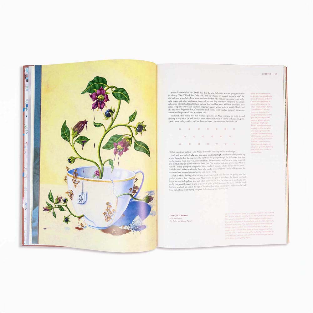 Alice in Wonderland Art Novel