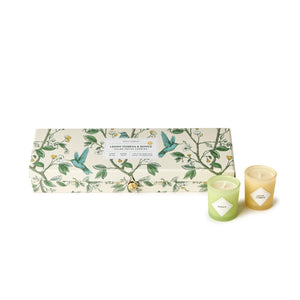 Lemon Verbena and Quince Scented Candles in Gift Box, Set of 5