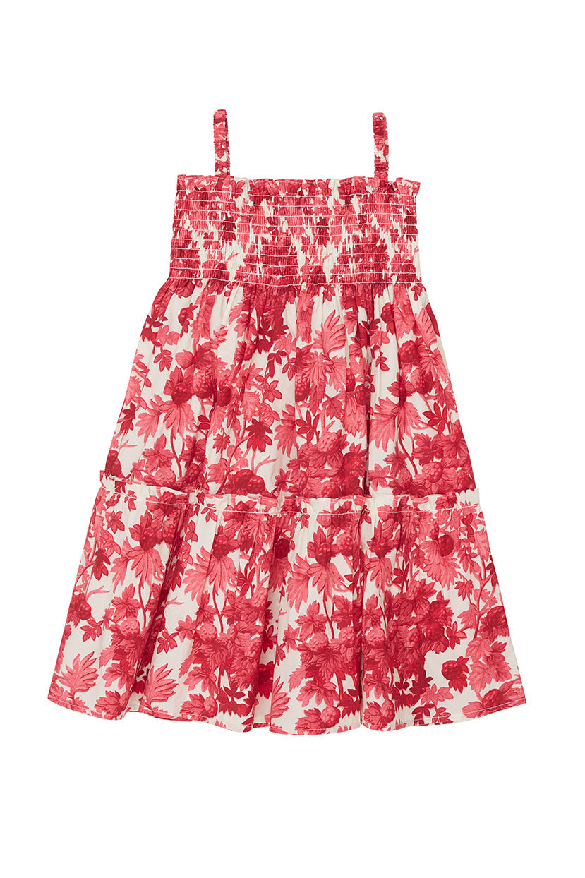 Goldie Dress in Berries Pink