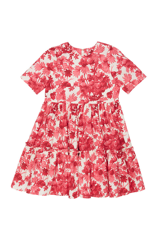 Margaux Dress in Berries Pink