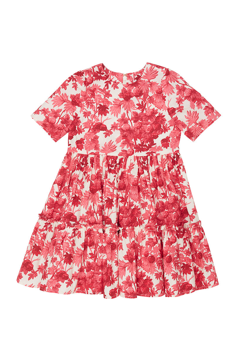 Margaux Dress in Berries Pink