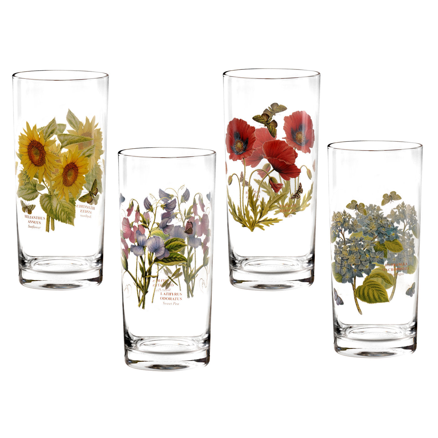 Botanic Garden Highball Glasses, Set of 4