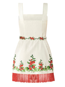 Sarah Bird Mini Dress x Larsen McDowell