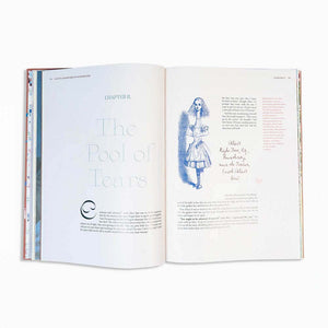 Alice in Wonderland Art Novel
