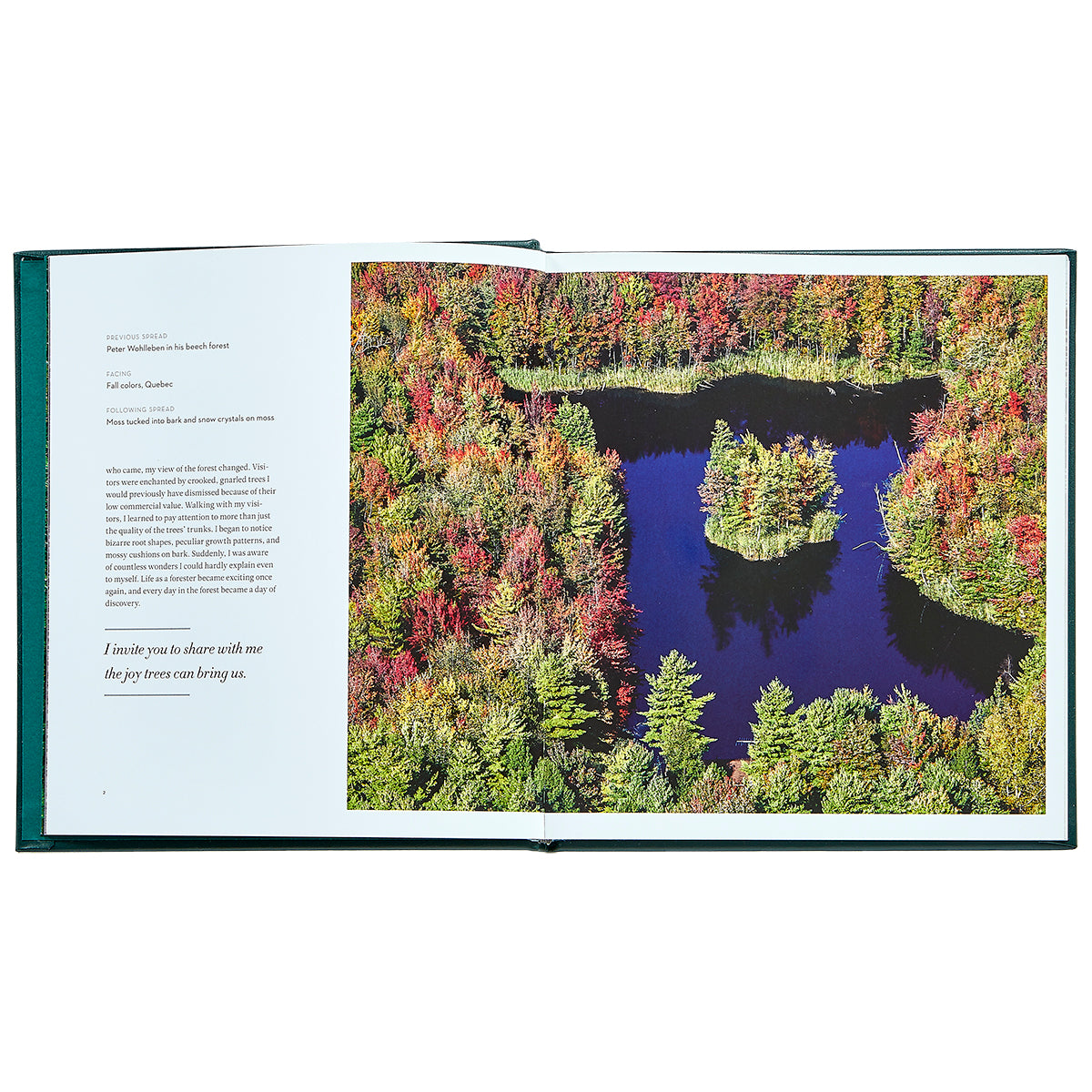 The Hidden Life of Trees Bonded Leather