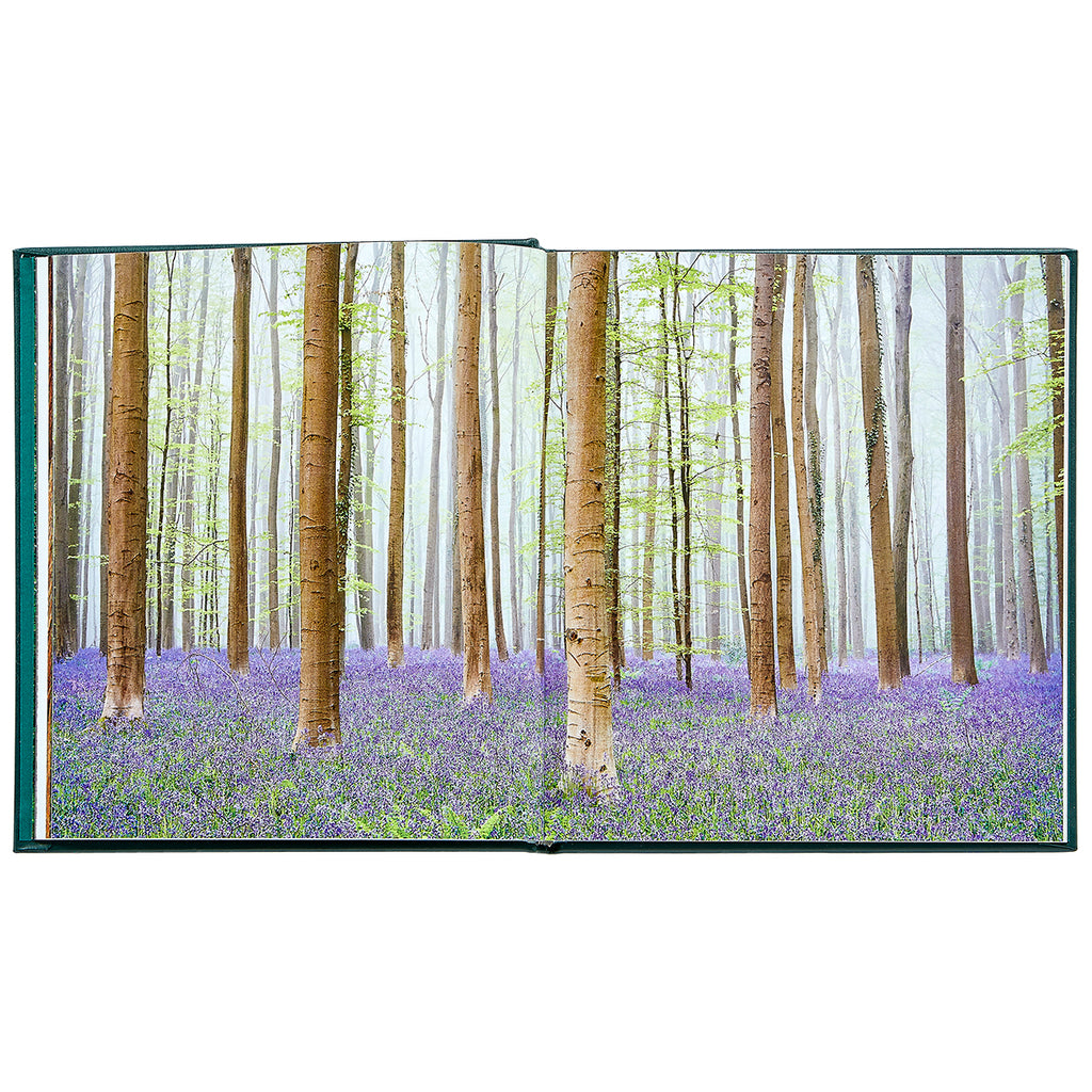 The Hidden Life of Trees Bonded Leather