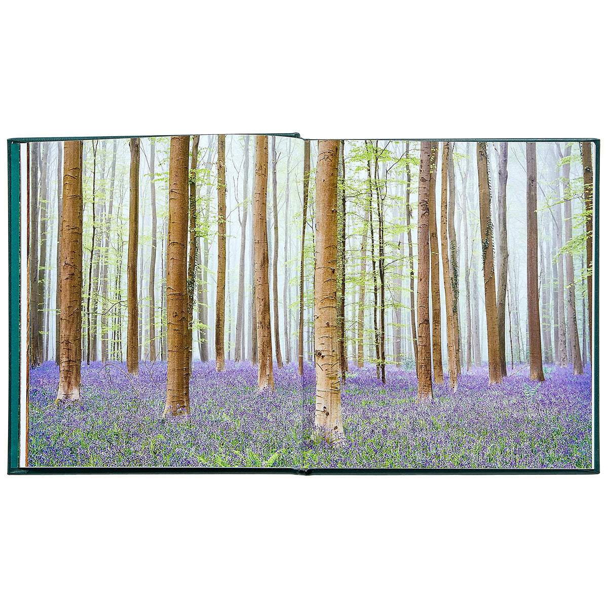 The Hidden Life of Trees Bonded Leather