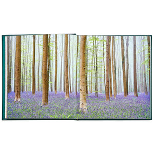 The Hidden Life of Trees Bonded Leather