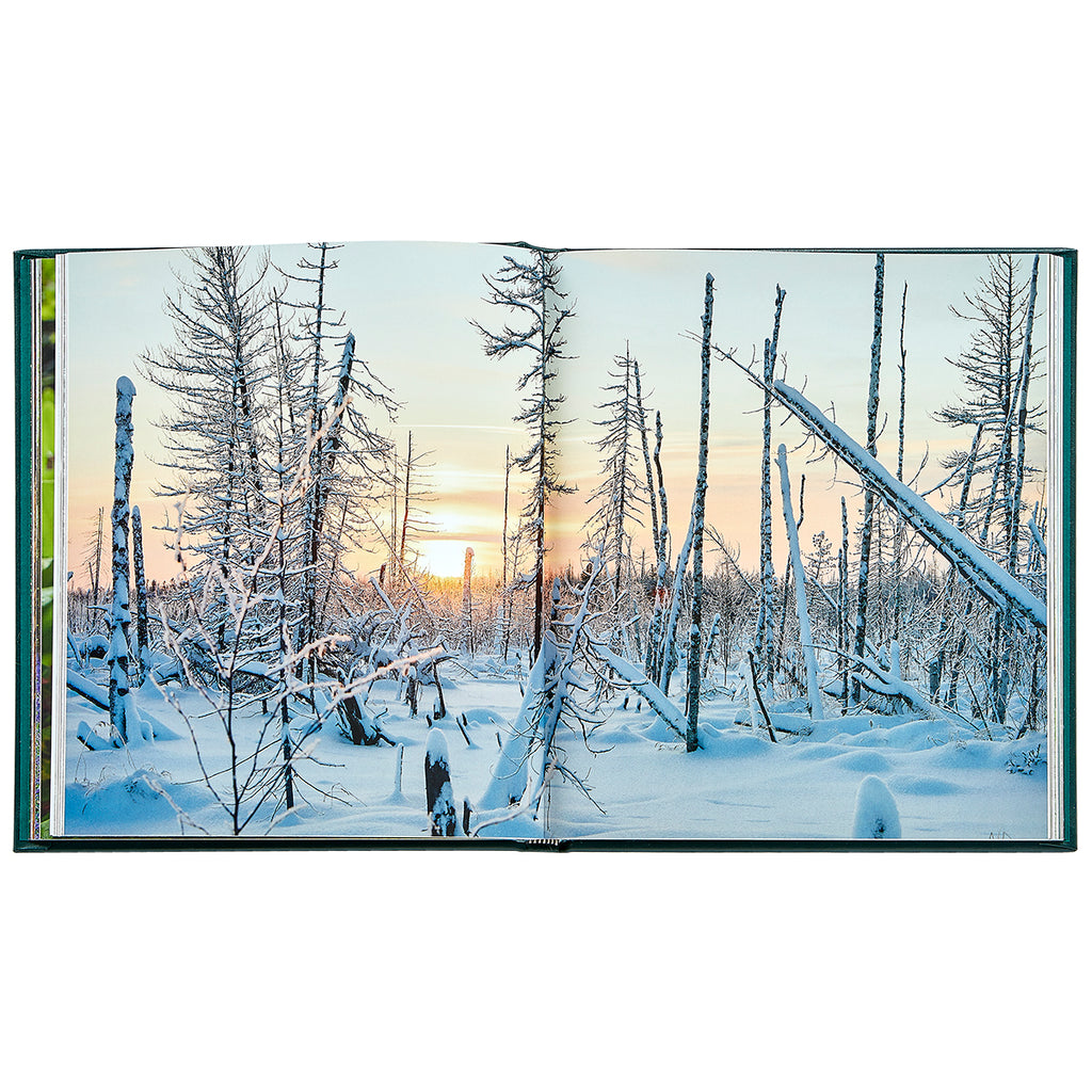 The Hidden Life of Trees Bonded Leather