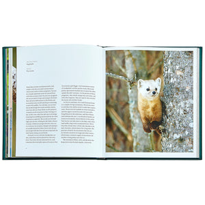 The Hidden Life of Trees Bonded Leather