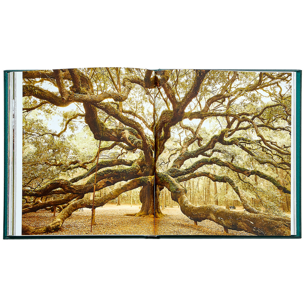 The Hidden Life of Trees Bonded Leather