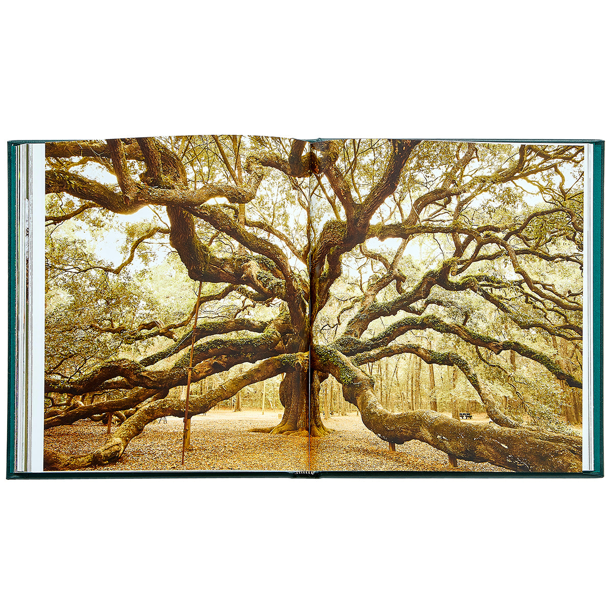 The Hidden Life of Trees Bonded Leather