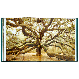 The Hidden Life of Trees Bonded Leather