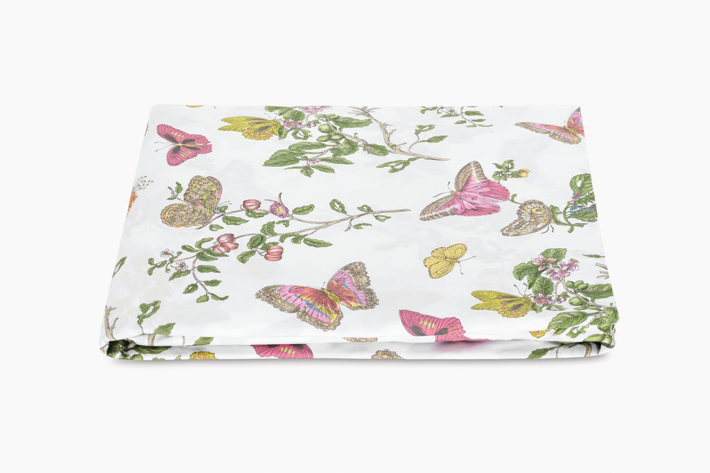 The Baudin Butterfly Collection
