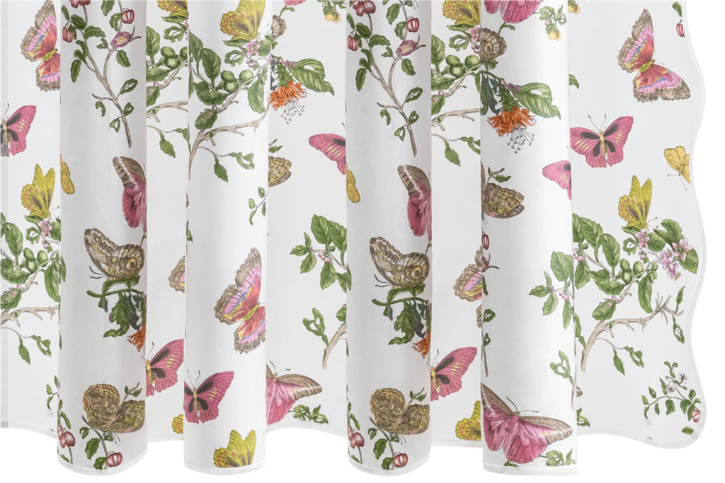 Baudin Butterfly Shower Curtain in Pink