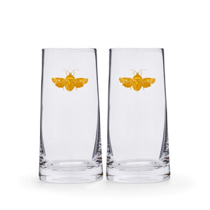 Creatures of Curiosity Highball Glasses, Set of 2