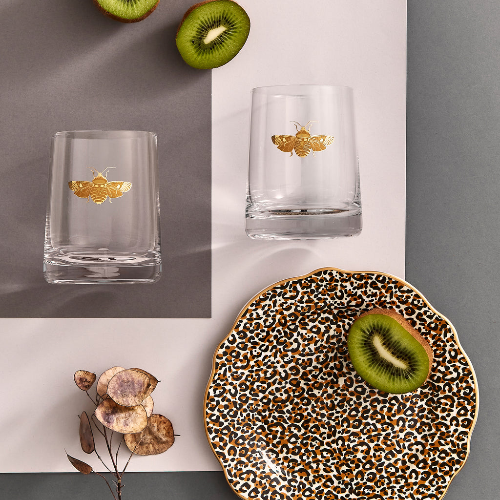 Creatures of Curiosity Glasses, Set of 2