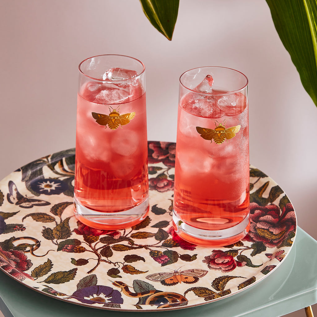 Creatures of Curiosity Highball Glasses, Set of 2