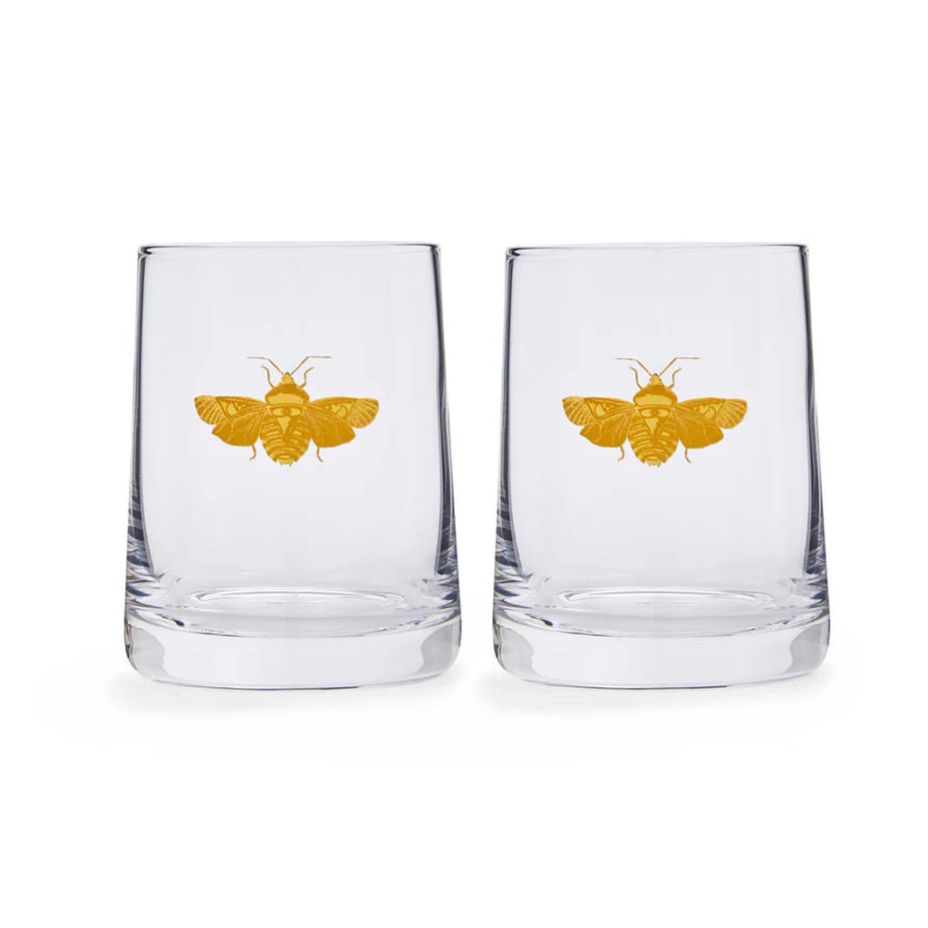 Creatures of Curiosity Glasses, Set of 2