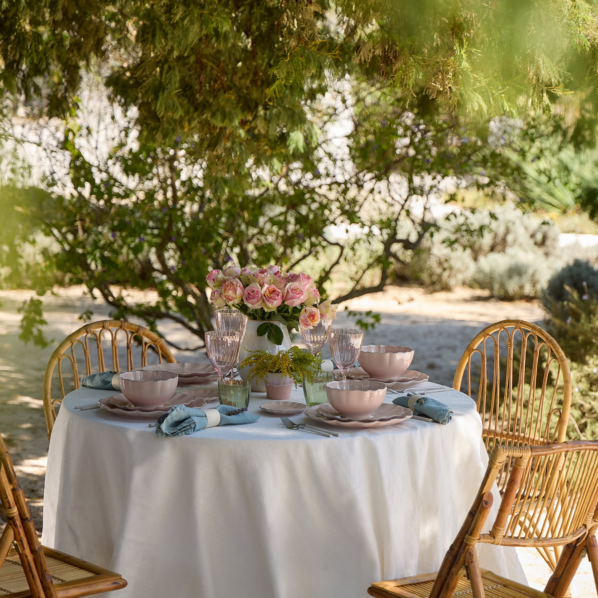 Rosa Collection Salad Plates in Rosé, Set of 6