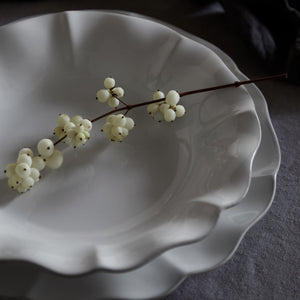 Rosa Collection Pasta Plates in White, Set of 6