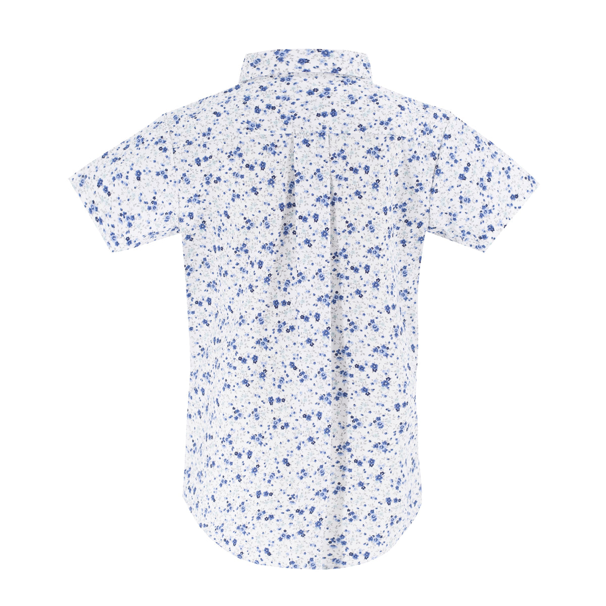 Emmet Boy Button Down