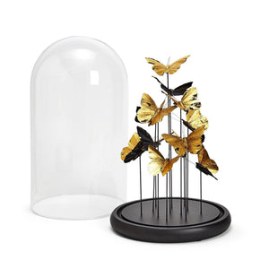 Golden Butterflies in Dome, Set of 2