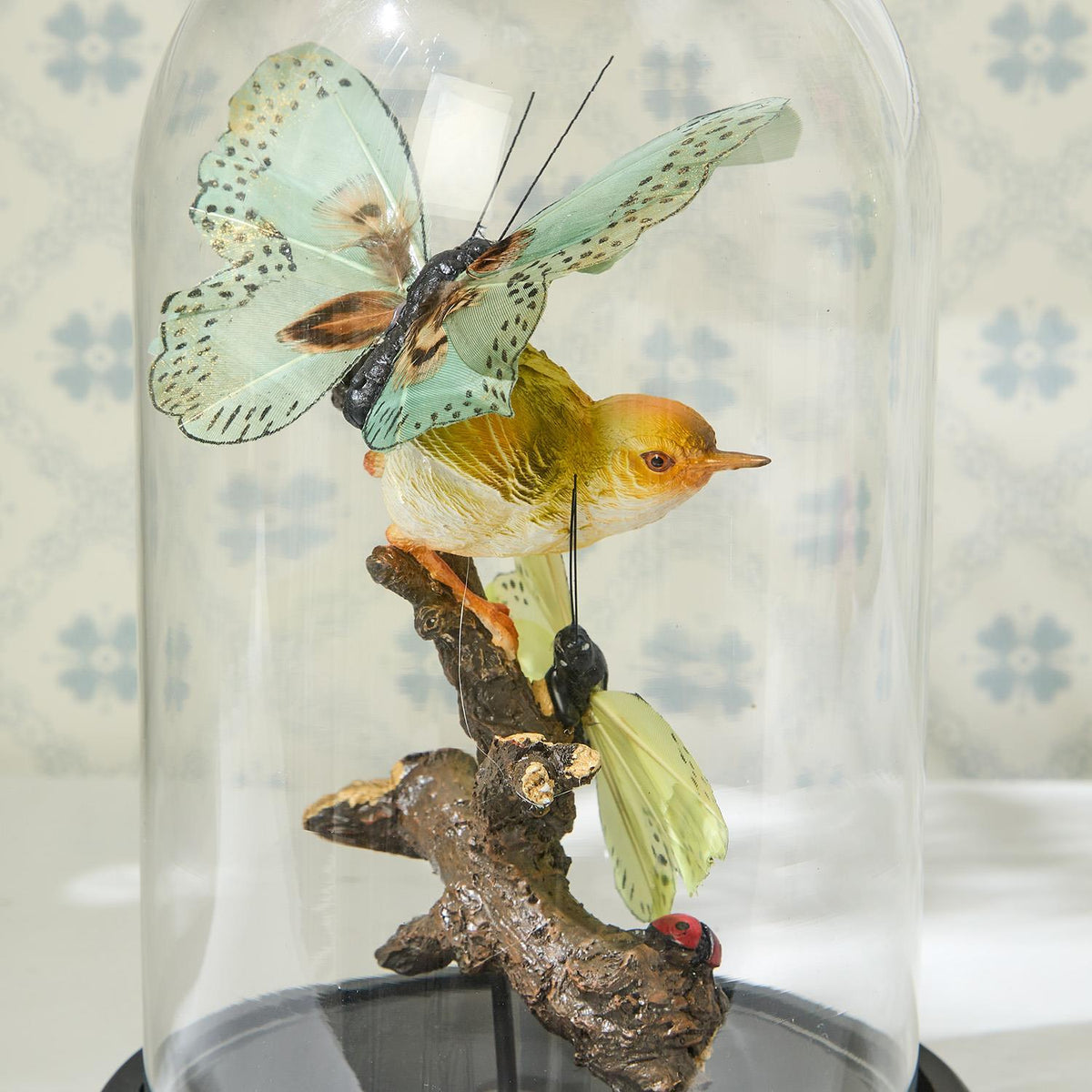 Flora and Fauna Butterfly & Bird Sculpture in Round Dome
