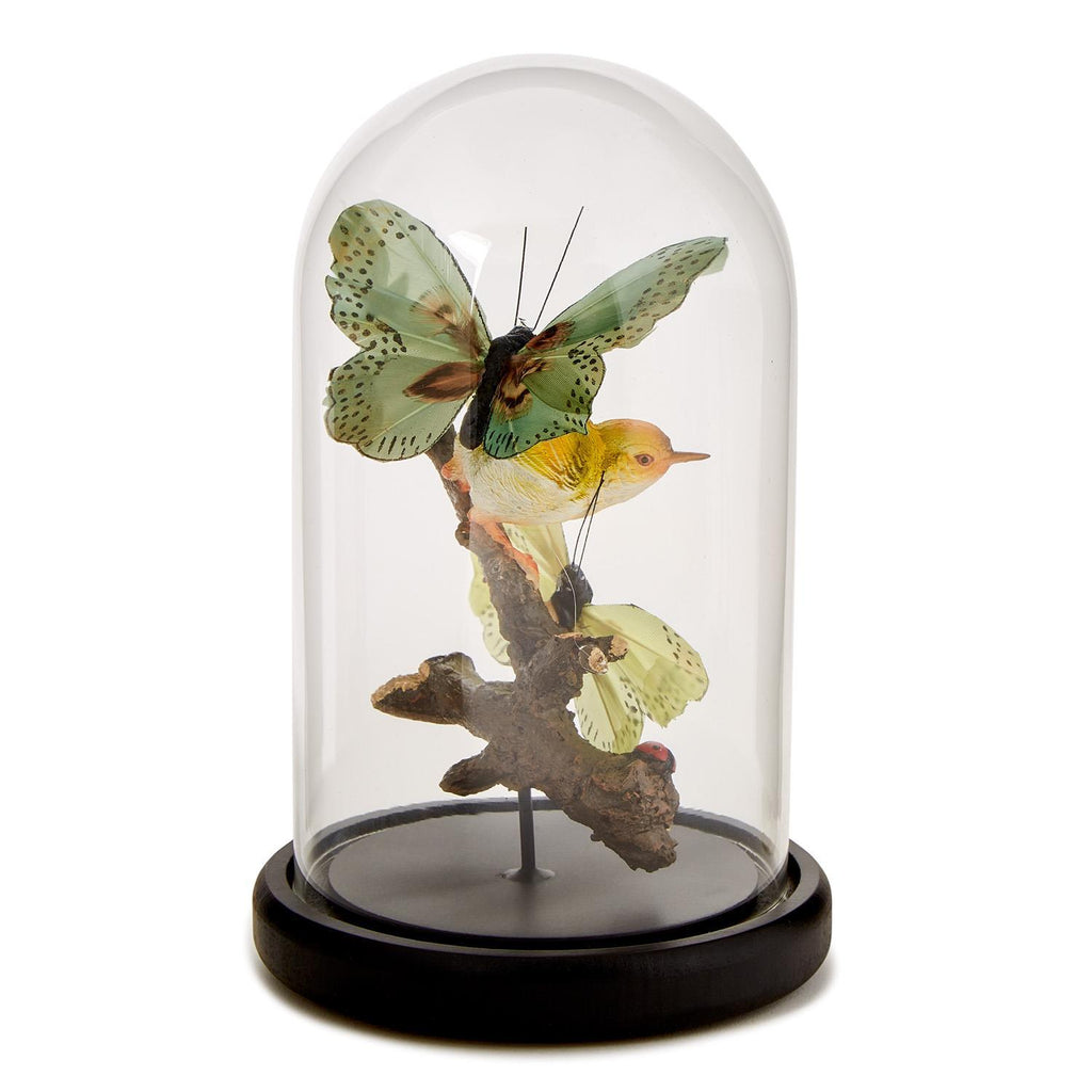 Flora and Fauna Butterfly & Bird Sculpture in Round Dome