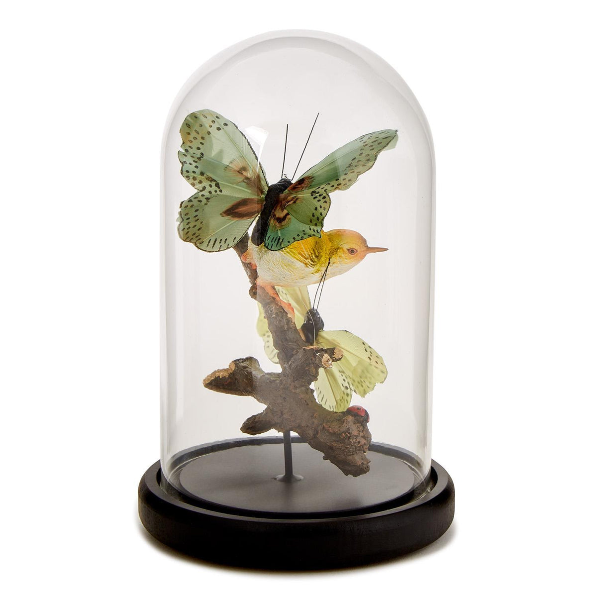 Flora and Fauna Butterfly & Bird Sculpture in Round Dome