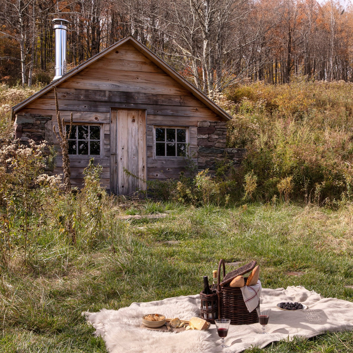 picnic setting outside
