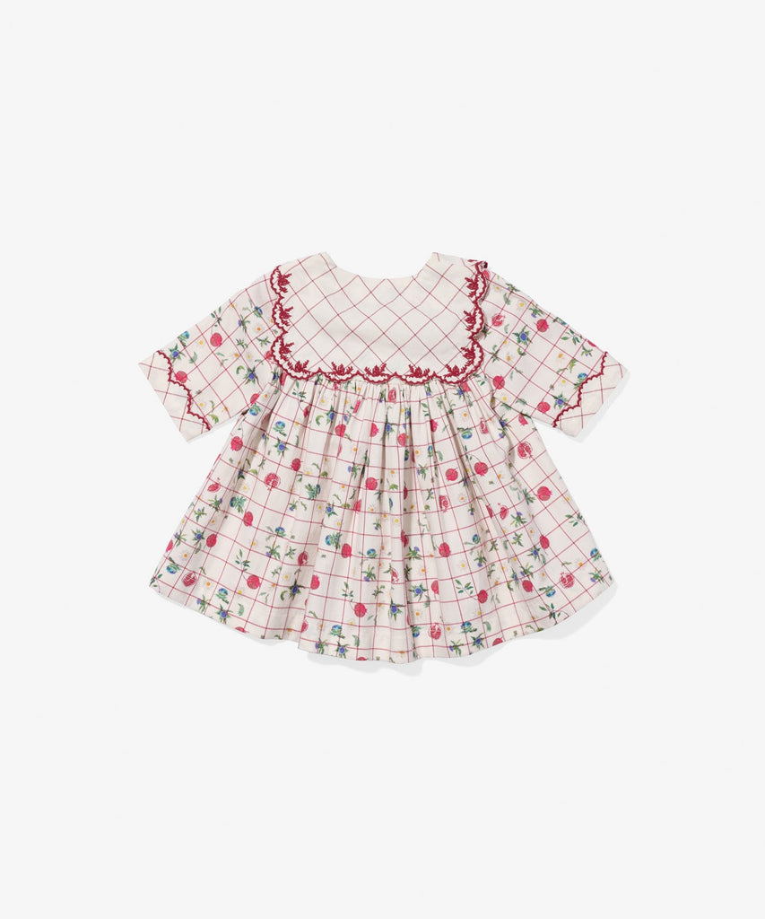 Gigi Baby Dress in Pomegranate Parade