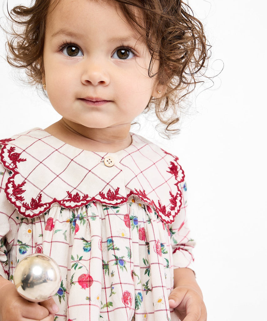 Gigi Baby Dress in Pomegranate Parade