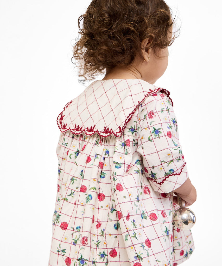 Gigi Baby Dress in Pomegranate Parade