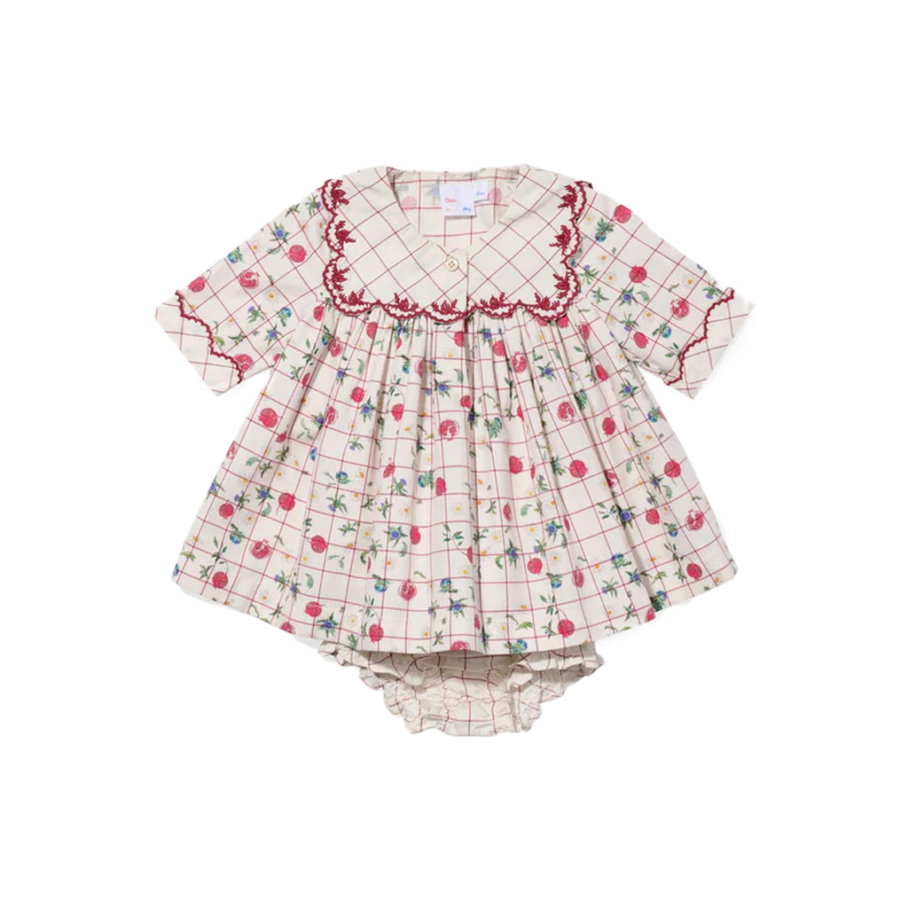 Gigi Baby Dress in Pomegranate Parade