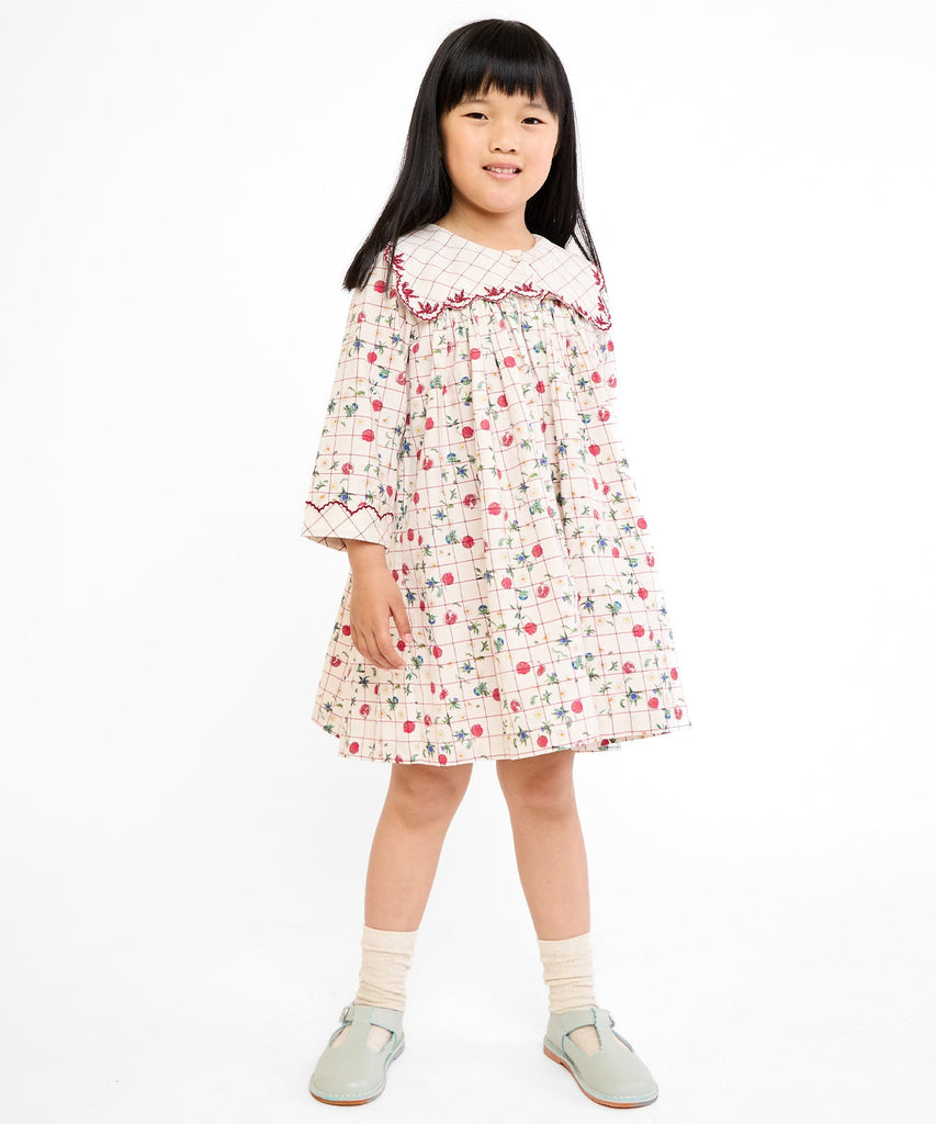 Gigi Dress in Pomegranate Parade