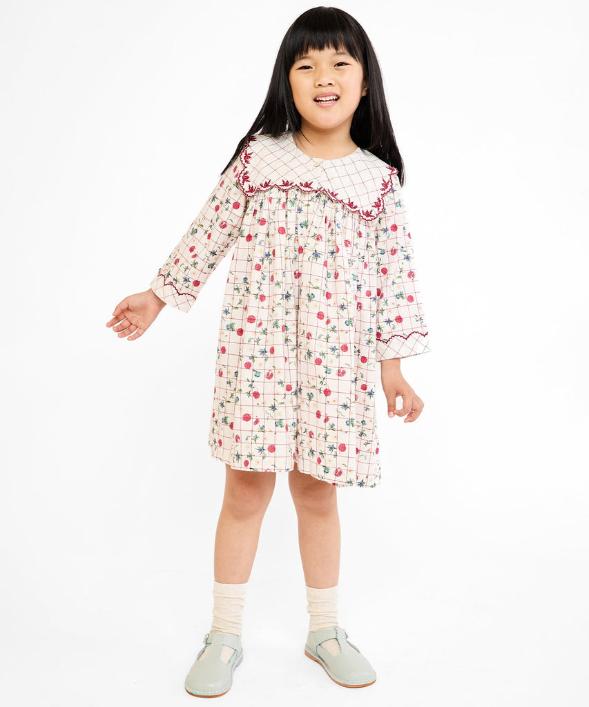 Gigi Dress in Pomegranate Parade